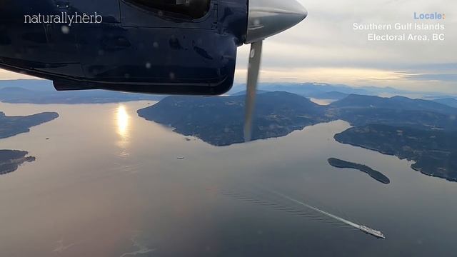 Full flight | Harbour Air DHC-6 Twin Otter | YB242 Victoria Harbour to Vancouver Harbour смотреть онлайн