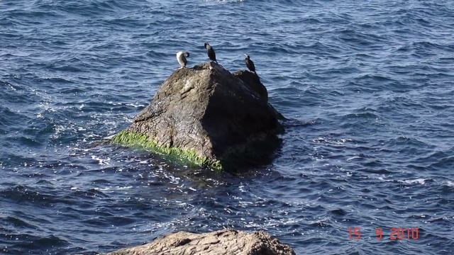 Парковое Кастрополь Форосская церковь смотреть онлайн