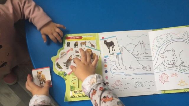 ЖИВОТНЫЕ. КТО ГДЕ ОБИТАЕТ? смотреть онлайн