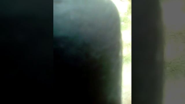 Смотреть до конца ржачь со мной я то кто старше . смотреть онлайн