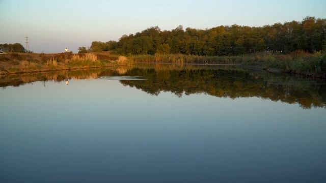 Тихое озеро на закате. Звуки природы, пение птиц, асмр,  / 4K UHD