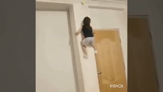 Самые прикольные гифки который я смотрел? смотреть онлайн