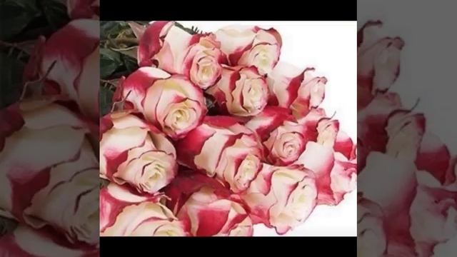 С Днём рождения. Лариса! смотреть онлайн