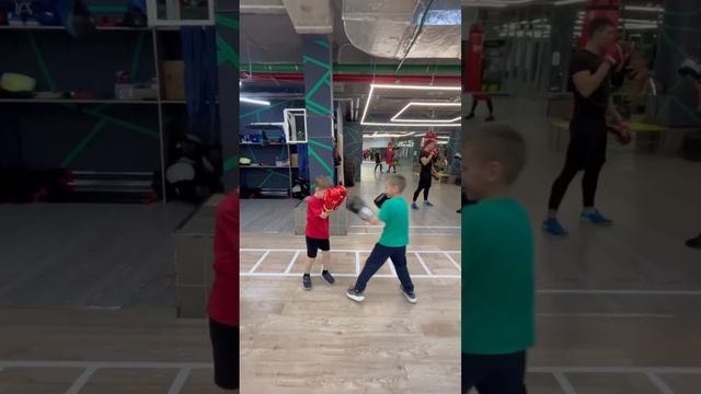 Наши котятки. Смотрят на старших и повторяют. Наши будущие спортсмены. Гордимся вами? #бокс #спорт смотреть онлайн