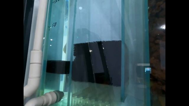 Фильтрация в аквариумах ADC