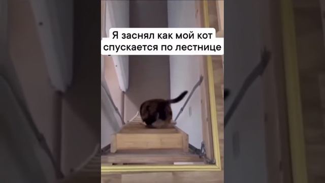 Плавное спускание смотреть онлайн