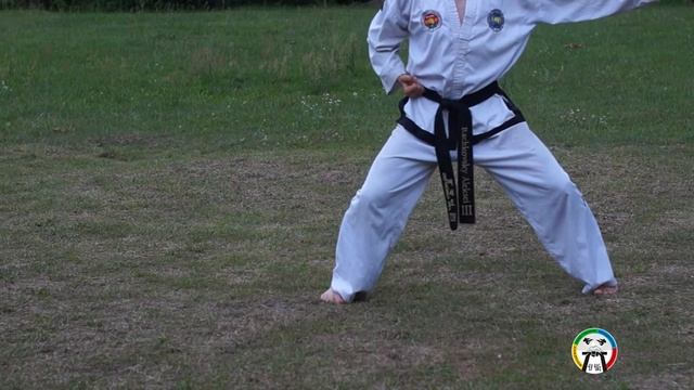 Do San Tul Technique смотреть онлайн