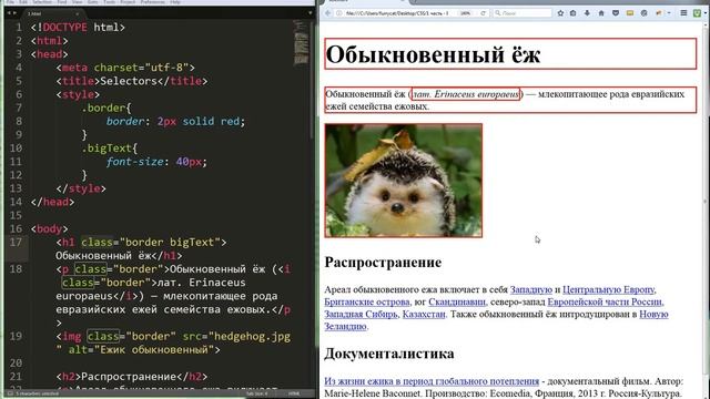 3. Селекторы. Часть 1. Основные селекторы смотреть онлайн
