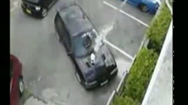 Про кота смотреть онлайн