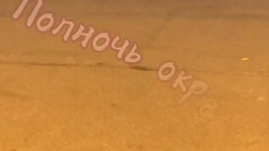 Помоги мне, мой ангел снизошедший(дмо) #дмо #духмоейобщаги ￼