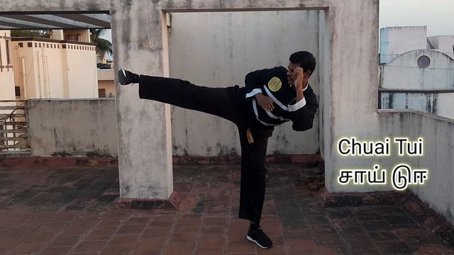 How to do Shaolin Kung fu Kick| Chuai Tui |Side Pushing Kick | Sifu Gowri |Kick Boxing |MMA kicks смотреть онлайн