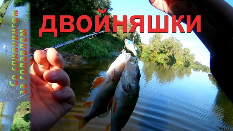 Ловля Окуня на Спиннинг. Окунь с каждого заброса. Лучший Воблер на окуня. смотреть онлайн