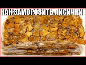 Как правильно заморозить лисички на зиму, чтобы не горчили / как приготовить замороженные лисички