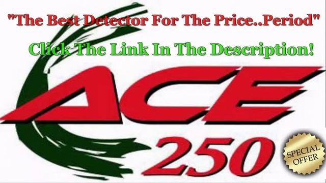 GARRETT ACE 250 INFO смотреть онлайн