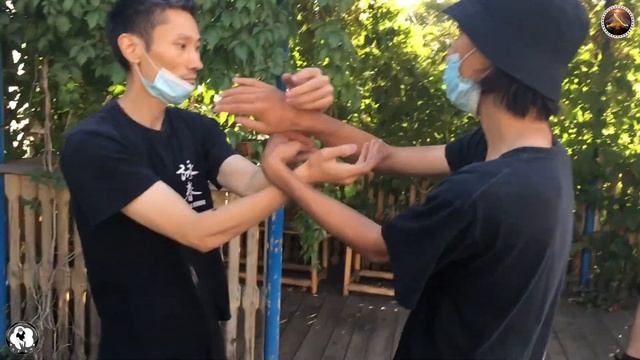 Тренировка Вин Чун на свежем воздухе смотреть онлайн