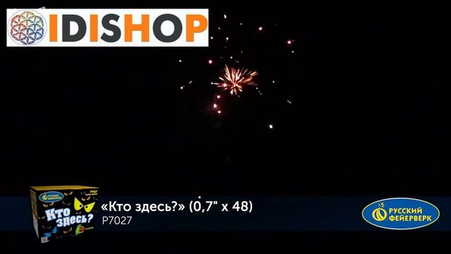 Фейерверк Р7027 Кто здесь 0,7 х 48 смотреть онлайн