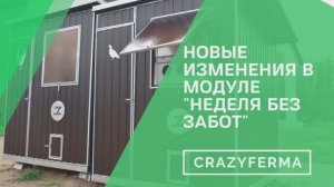 Не знаете с чего начать разводить бройлеров_ Курятник _Неделя без забот_ для новичков!