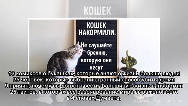 15 фильмов, которые в других странах называются совсем не так, как мы привыкли смотреть онлайн