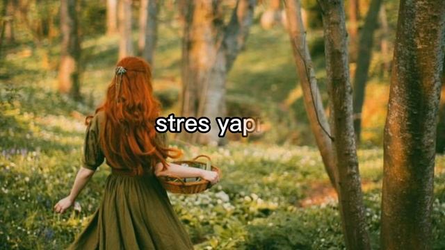 Princessa = Türkçe çeviri