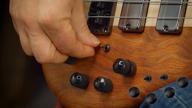 THAT TONE! Stunning Single Cut Neck Through Bass Guitar Demo | Warwick Masterbuilt Thumb SC смотреть онлайн