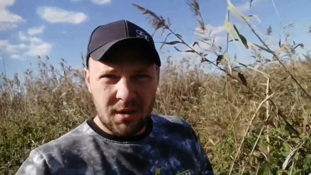 Купили дом у реки в Краснодарском крае. Разочарования после трёх месяцев с переезда