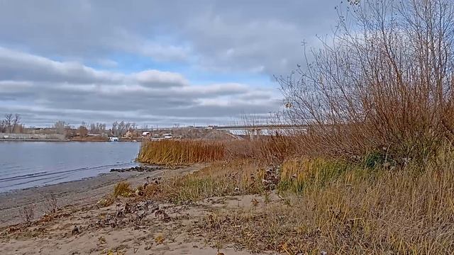 04.11.2023. Воды нет,рыбы нет,страдаю всякой ерундой! смотреть онлайн
