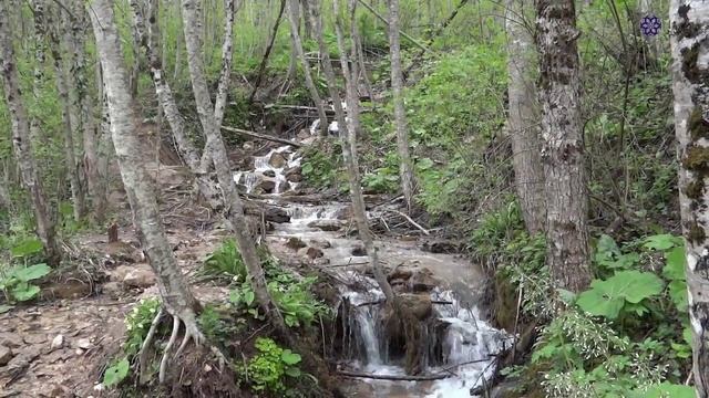 Йога тур "Цветка Жизни" 1 мая 2015 (поселок Мезмай, Краснодарский край) смотреть онлайн