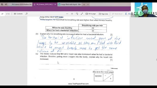 2020 PSLE Science Revision - 2019 Prelim Paper CBS смотреть онлайн