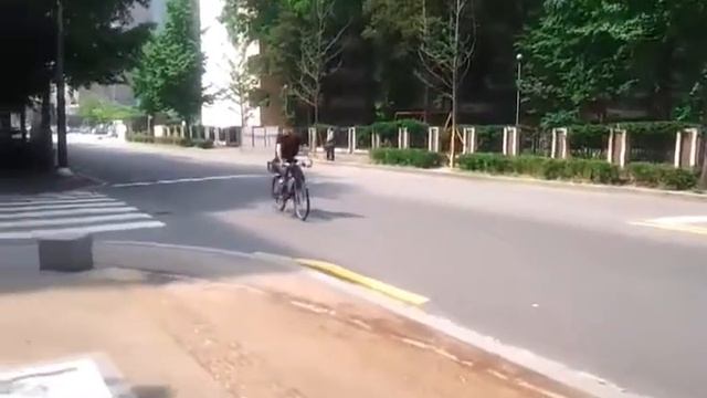 Перевозка мебели в Корее смотреть онлайн