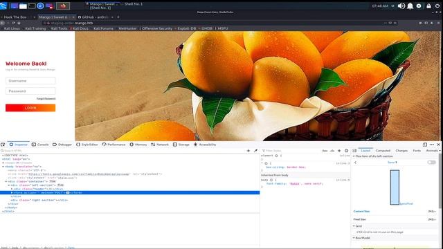 HackTheBox: Mango CTF смотреть онлайн