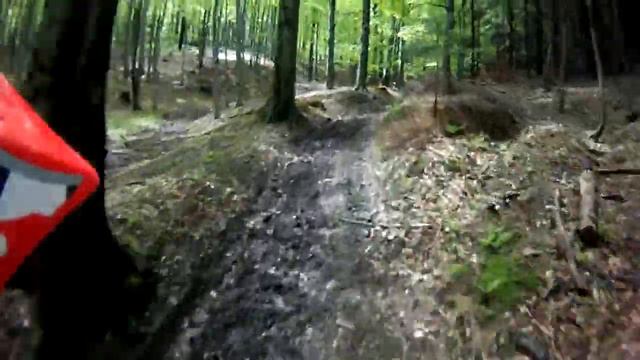 ccdvp geniet van de natuur смотреть онлайн