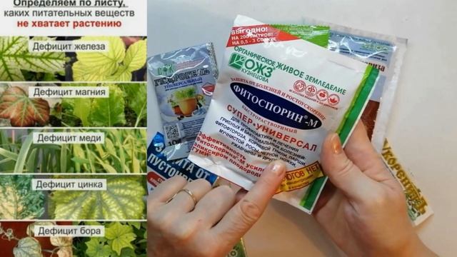 Поход в Фикс прайс Обзор Что я выбрала для своего сада смотреть онлайн