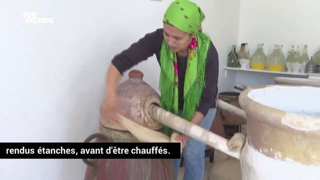 Tunisie : les bigaradiers, l'or blanc de Nabeul смотреть онлайн
