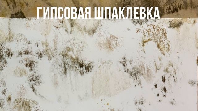 ШОК! Грибок на стенах, как предотвратить смотреть онлайн