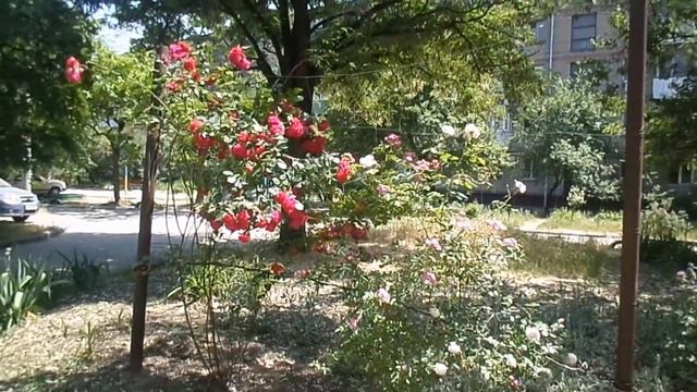 ВЛОГ КАК ТРИША ЗАКОНЧИЛА 4 КЛАСС И МЫ СХОДИЛИ НА ... 08.06.2017