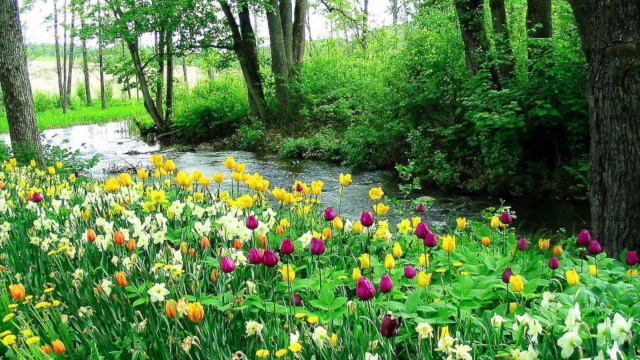 Регенерирующие звуки для восстановления .Частоты 432 Гц и 528Гц