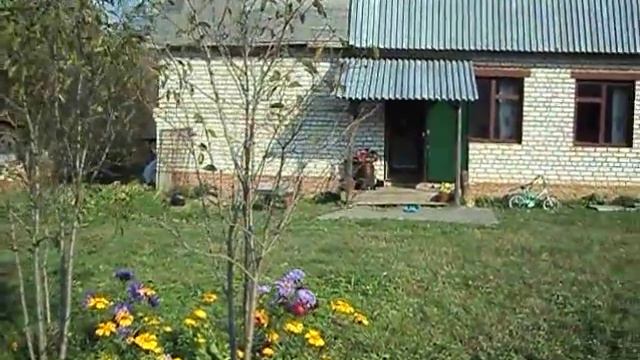Деревня Лужки часть 2 смотреть онлайн
