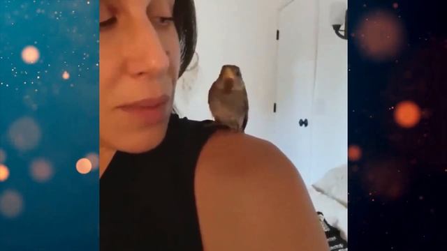 Этот спасённый ВОРОБЕЙ думает что он собака! Гляньте на его уникальный КЛЮВ! смотреть онлайн