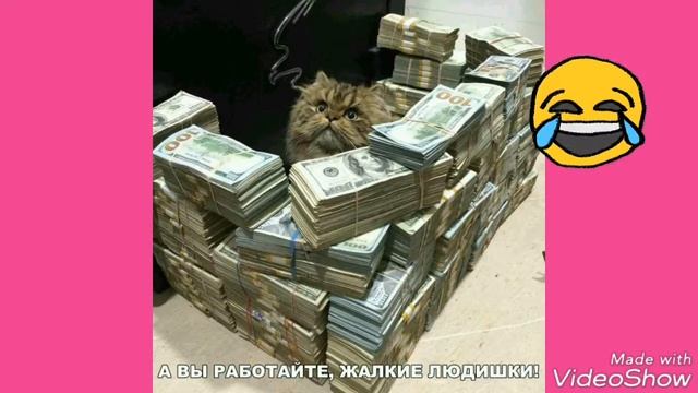 Весёлые анекдоты! Часть 5!!! смотреть онлайн