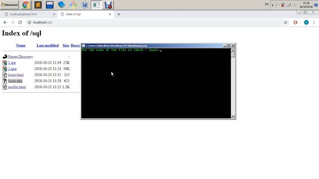 Security programming code scanner for vulnerability Delphi/Pascal смотреть онлайн
