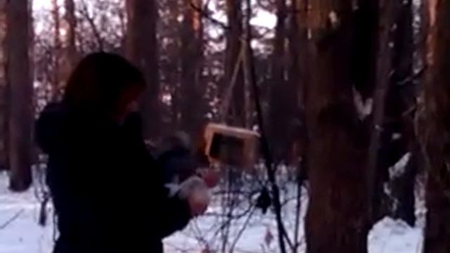 Парк. Курорт Ангара. Иркутск смотреть онлайн