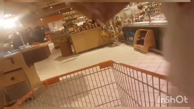 Салон Грин Зона обзор, Сильпо обзор смотреть онлайн