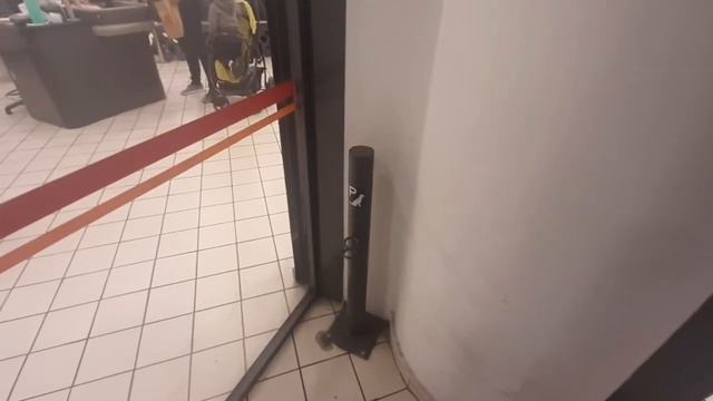 Афины. Померанцы, декроттуар и "парковка для собак" смотреть онлайн