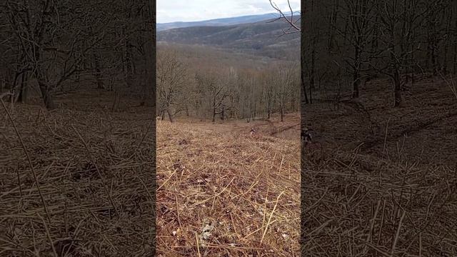 Если бы не было коня смотреть онлайн