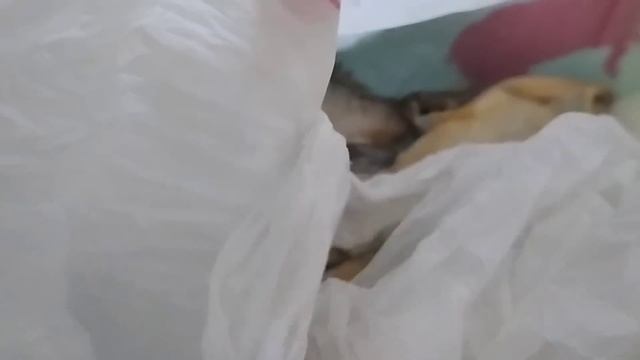 Уходим от тети Нади!? Копаю огород! Кот с Иришкой посадили лук! смотреть онлайн