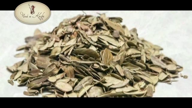 8 выпуск. Чай и кофе. Полезные травы. смотреть онлайн