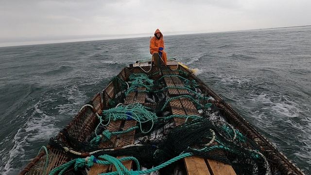 29 августа)2021 год