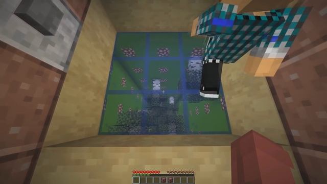 МАЙНКРАФТ ЛАБИРИНТ ВИКТОРИНА КАРТА С ДРУЗЬЯМИ ПРОХОЖДЕНИЕ ! ВЫБЕРИ ПУТЬ MINECRAFT MAP ПАРКУР смотреть онлайн