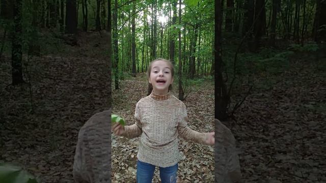 Ф.И. Тютчев " Люблю грозу в начале мая" смотреть онлайн