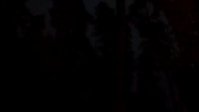 Гроза в лесу смотреть онлайн